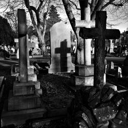 Tombstones in cemetery