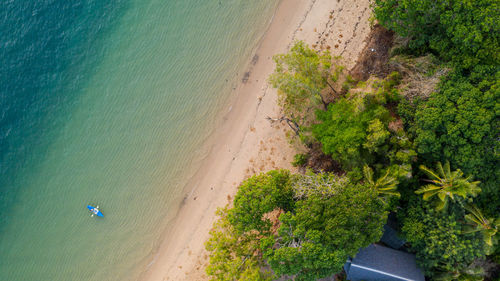 High angle view of trees on beach