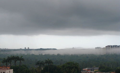 Trees and cityscape against sky