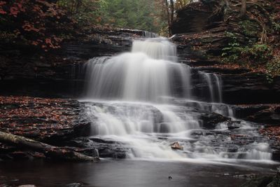 Scenic view of waterfall in forest