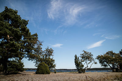 Trees on field against cloudy sky