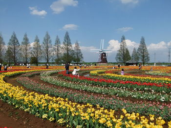 Panoramic view of flowering plants on field against sky