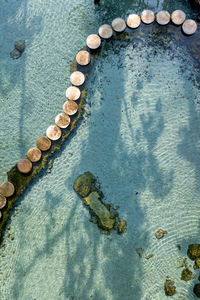 High angle view of snake on beach