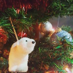 Close-up of christmas tree