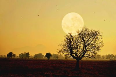 Dead tree with full moon on the field in landscape