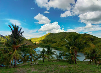 Scenic view of trees on landscape against sky