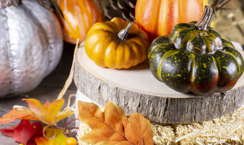 Small pumpkins, orange squash, pinecones, and green squash on wood stacked on leaf-covered hay