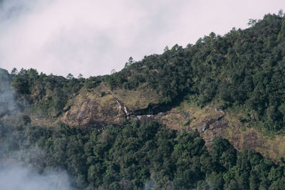 Scenic view of trees and mountains against sky