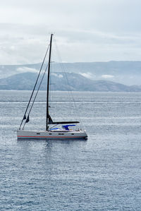 Sailboat sailing on sea against sky