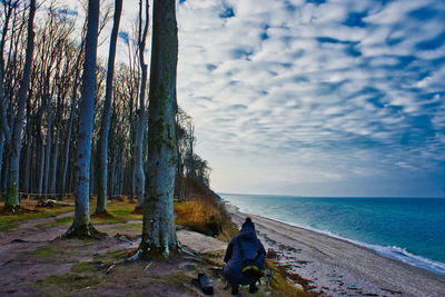 Rear view of man on beach against sky