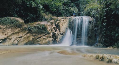 Scenic view of waterfall in forest