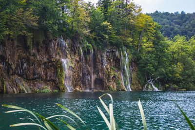 Scenic view of lake against trees