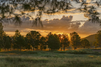 Scenic view of field against sky during sunset