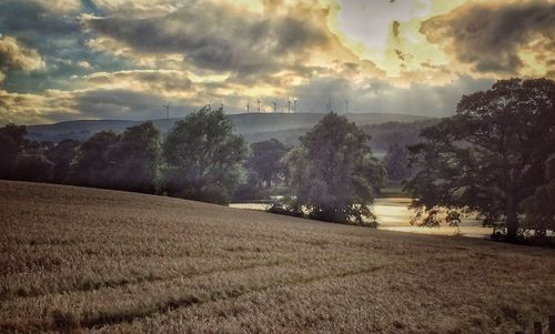 Scenic view of field against sky