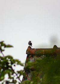 Close-up of rusty metal against sky