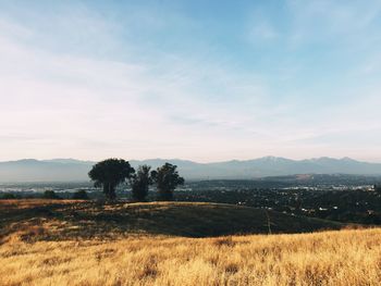 Scenic view of landscape against cloudy sky