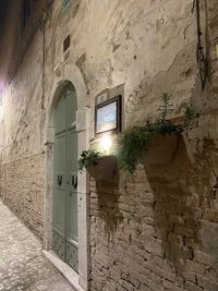 Low angle view of potted plants on wall of old building