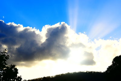 Low angle view of trees against sky