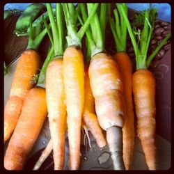 Close-up of vegetables