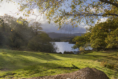 Scenic view of lake and trees against sky