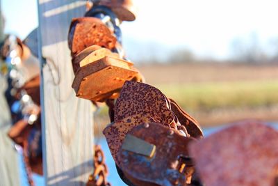 Close-up of rusty chain