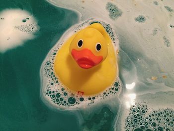 Close up of rubber duck