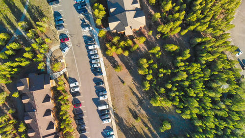 High angle view of street amidst trees