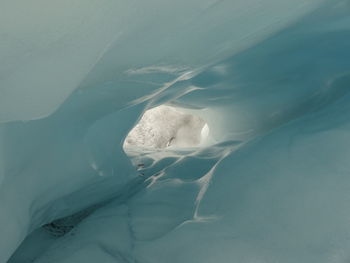 Aerial view of frozen sea