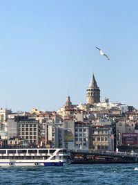 Seagull flying over buildings in city against clear sky