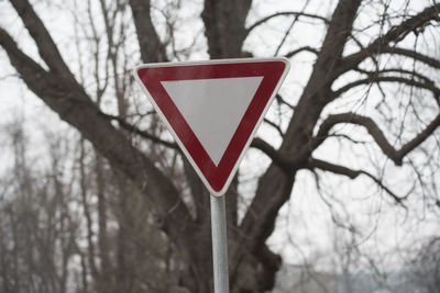 Close-up of road sign on tree trunk