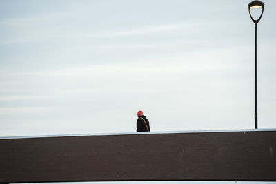 Rear view of man sitting on railing against sky