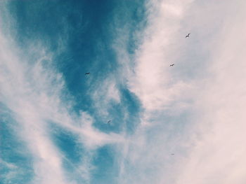 Low angle view of birds flying in sky