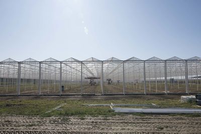 Construction of a greenhouse or glasshouse for the production of vegetables and plants