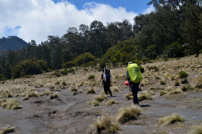 Rear view of people walking on mountain against sky