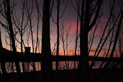 Silhouette trees against sky during sunset