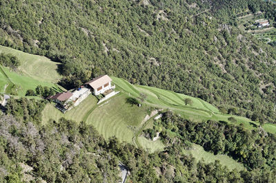 High angle view of trees on field