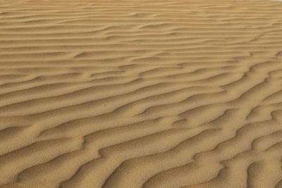 Full frame shot of sand dune