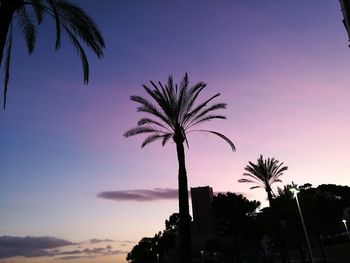 Low angle view of silhouette palm tree against sky at sunset