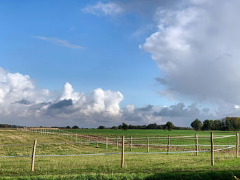 Scenic view of field against sky