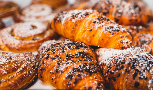 Close-up of food
