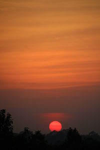 Silhouette of trees against romantic sky at sunset