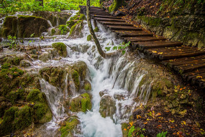 Scenic view of waterfall in forest