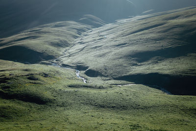 environment