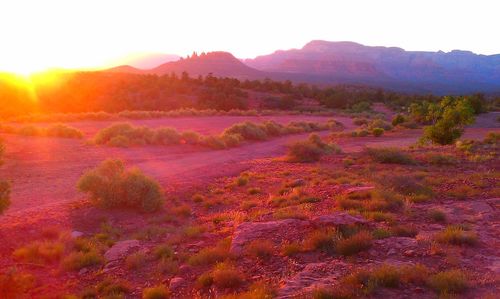 Scenic view of landscape against sky during sunset