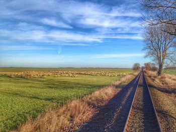 Road passing through field