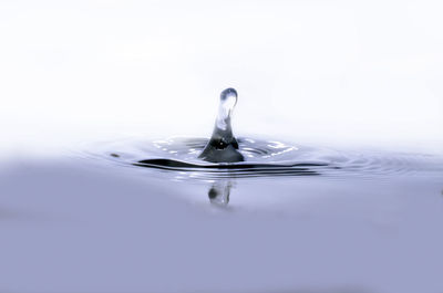 Close-up of drop splashing on water