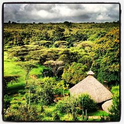 Scenic view of field against cloudy sky