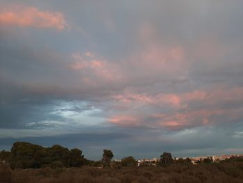 Scenic view of field against sky during sunset