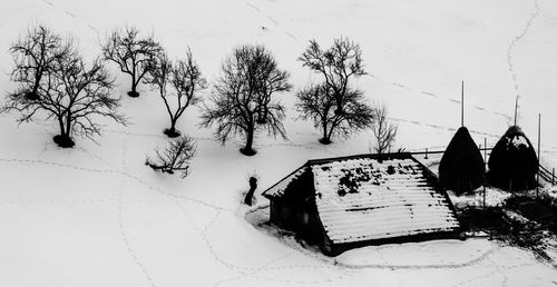 High angle view of trees on snow covered field