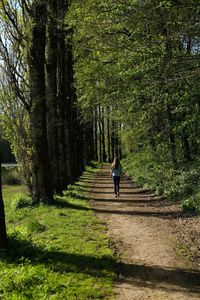 Rear view of teenage boys walking on footpath in forest